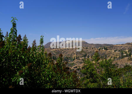 Hollywood Sign de Griffith Observatory Banque D'Images