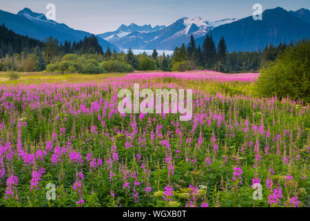 Parc de la fraternité, Juneau, Alaska. Banque D'Images