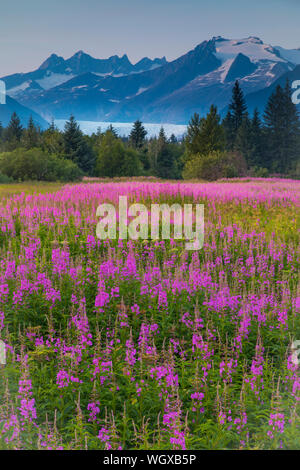 Parc de la fraternité, Juneau, Alaska. Banque D'Images