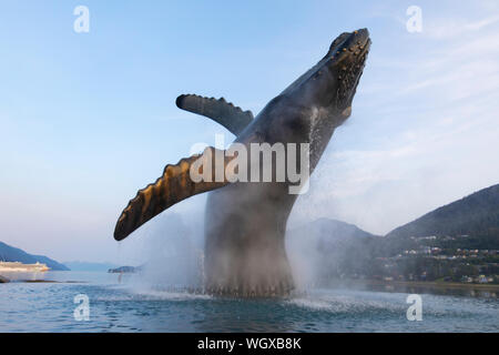 Statue de baleine, Juneau, Alaska. Banque D'Images