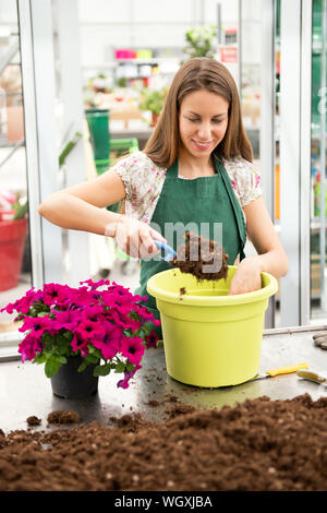 Jeune femme rempotage d'une plante pétunia en plaçant le sol dans un pot vert avec une petite truelle à partir d'un tas sur la table dans une pépinière dans un emploi co Banque D'Images