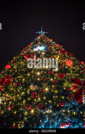 Décorations de vacances à Tirana, Albanie. Arbre de Noël. Banque D'Images
