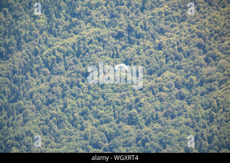 Parapentiste vole au-dessus de la forêt, sur un flanc de montagne. Parachutiste dans le ciel au-dessus des arbres croissant sur la montagne au début du printemps Banque D'Images