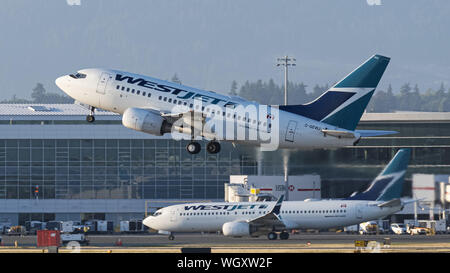 Richmond, Colombie-Britannique, Canada. Août 26, 2019. WestJet Airlines, un Boeing 737-600 C-GEWJ) Avion de ligne mono-couloir décolle de l'Aéroport International de Vancouver. Credit : Bayne Stanley/ZUMA/Alamy Fil Live News Banque D'Images