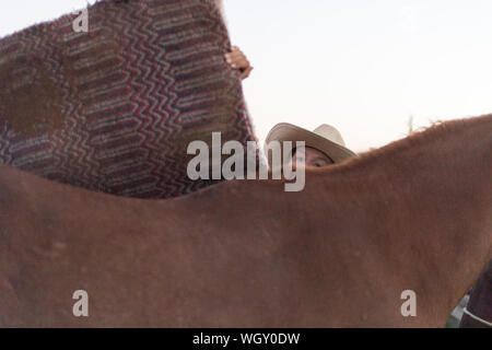 White Stallion Ranch, Tucson, Arizona. Banque D'Images