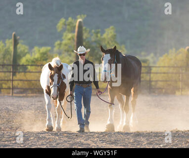 White Stallion Ranch, Tucson, Arizona. Banque D'Images