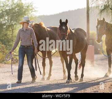 White Stallion Ranch, Tucson, Arizona. Banque D'Images