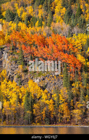 Couleurs d'automne, haut de la route, le lac, la Forêt Nationale de Chugach Alaska. Banque D'Images