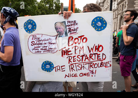 Londres, Royaume-Uni. 31 août 2019. Le coup d'arrêt manifestation contre PM Boris Johnson's Utilisation de la prorogation d'écourter le temps parlementaire et d'augmenter les chances d'un Brexit aucune affaire. Les manifestants à Whitehall, à la jonction de la rue du Parlement et la place du Parlement. Crédit : Stephen Bell/Alamy Banque D'Images