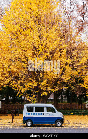 DEC 5, 2018 Tokyo, Japon - Tokyo cute parking van japonais sous automne vibrant jaune arbre ginkgo à Jingu gaien avanue Banque D'Images