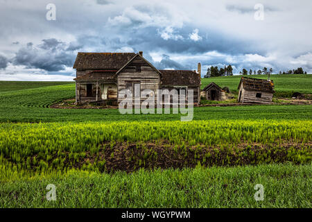 Une ferme abandonnée dans la Palouse, Washington Banque D'Images