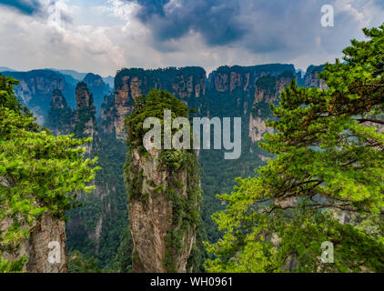 Formations rocheuses naturelles dans Zhangzhijaje National Park, Chine Banque D'Images