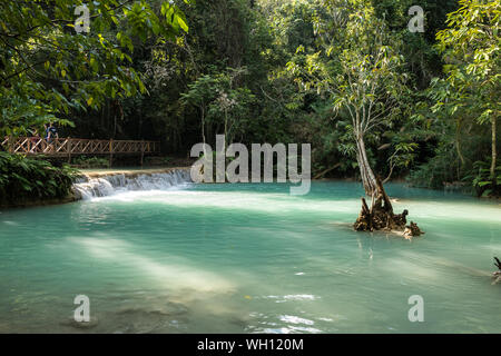 Tat Cascades de Kuang Si près de Luang Prabang, Laos Banque D'Images