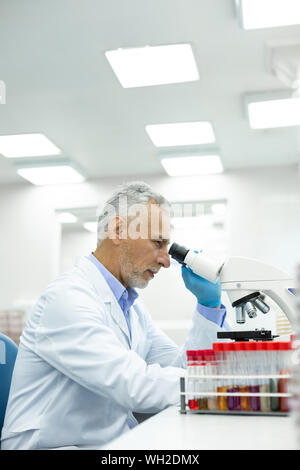 Senior homme attentionné working in laboratory Banque D'Images