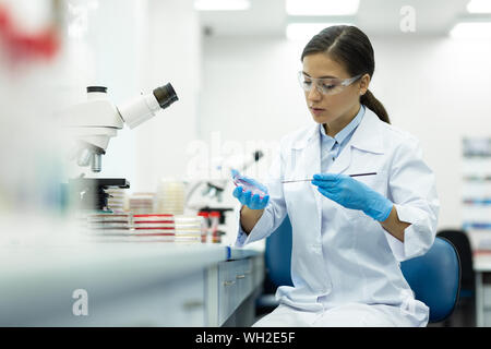 Jeune chercheur attentif travaillant dans un laboratoire moderne Banque D'Images