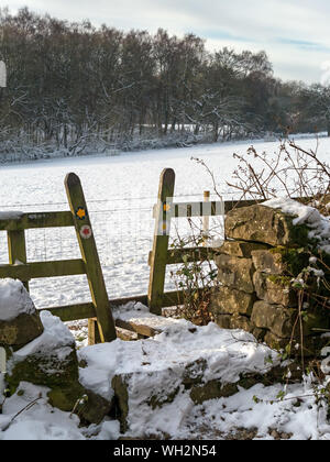 Sentier de bois l'étape stile en hiver avec champ couvert de neige et le chemin sur le chemin forestier national, Derbyshire, Angleterre, Royaume-Uni. Banque D'Images