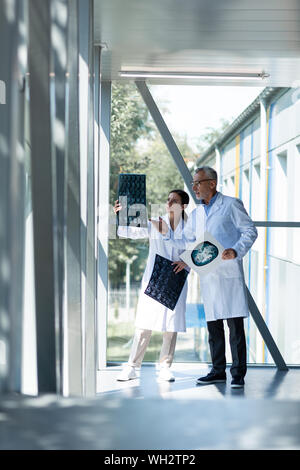 Les travailleurs médicaux professionnels contrôle X-ray images Banque D'Images