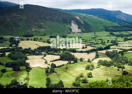 Campagne anglaise mosaïque de champs et de haies à Newlands Valley dans Parc National de Lake District. Keswick, Cumbria, England, UK, Grande-Bretagne Banque D'Images