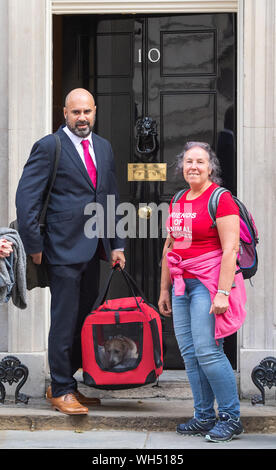 A 15 semaines chiot Jack Russell-cross a adopté à partir de la charité de sauvetage des animaux amis de galles par premier ministre Boris Johnson et son partenaire Carrie Symonds est livré à Downing Street, Londres. Banque D'Images