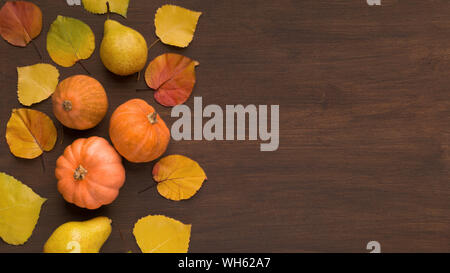 Chasse d'automne de petites citrouilles fixant parmi les feuilles mortes Banque D'Images