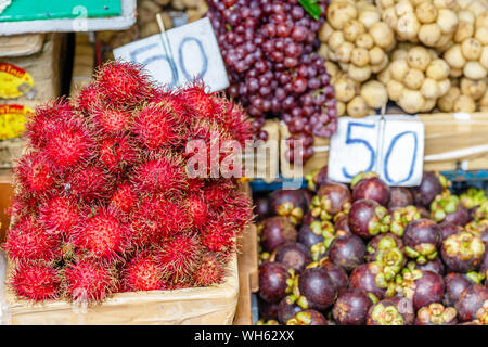 Fruits thaïlandais à un étal de ramboutans, mangoustans, : le raisin. Bangkok, Thaïlande. Banque D'Images