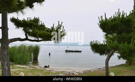 Japon - photo de Sean Sprague Lake Biwa de Karasaki Banque D'Images