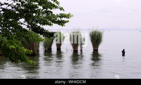 Japon - photo de Sean Sprague Lake Biwa de Karasaki Banque D'Images