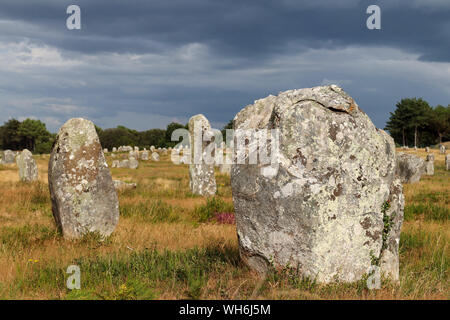 Alignements du Ménec - Rangées de Menhirs - pierres à la lumière du coucher du soleil - le plus grand site mégalithique du monde, Carnac, Bretagne, France Banque D'Images