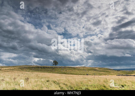 Les nuages de tempête en colère perturber le paysage tranquille et paisible de Malham Dale dans le North Yorkshire Dales près du village de Malham Banque D'Images