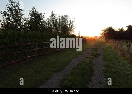 Chemin Rural menant à la rising sun Banque D'Images