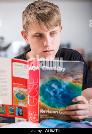 Un élève de l'école réviser pour ses examens du GCSE Banque D'Images