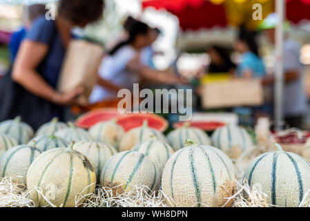 Le melon Cavaillon sur le marché provençal Banque D'Images