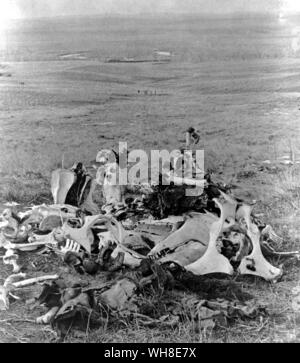 Le reste de la septième cavalerie. Custers last stand. Trente-huit hommes de la septième cavalerie morts pendant la bataille de Little Bighorn en 1876. Banque D'Images