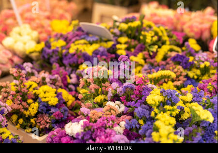 Marché aux fleurs coloré à Aix-en-Provence France Banque D'Images