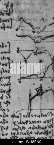 La caméra peut geler l'aile-beat d'un oiseau, mais Leonardo avait d'arrêter le mouvement des ailes dans son esprit et il a attiré des centaines de fois les positions des oiseaux en vol.' Un oiseau fait la même utilisation des ailes et la queue en l'air comme un nageur ne de ses bras et jambes dans l'eau'. En utilisant l'analogie des courants de l'eau et l'air, dit-il faisant référence à ce dessin "si l'oiseau illustré....abaisse ses ailes, il fait lui-même plus stables lors de l'air et prend en charge lui-même avec moins de difficulté....mais c'est plus certain de ne pas être renversée en gardant ses ailes de haut en les gardant faible.' Leonardo da Banque D'Images