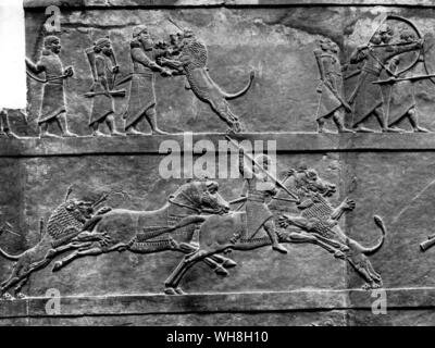 L'Assyrie Bas-relief de Ninive, septième siècle avant J.-C., montre le roi Assurbanipal lion chasse. Encyclopédie du cheval à partir de la page 67. Banque D'Images