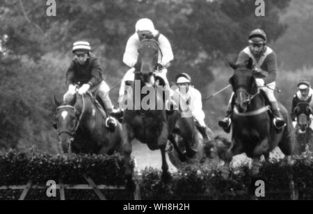 Obstacle Course : le singleton Novices Course de haies, Fontwell Park. Encyclopédie canadienne du cheval page 194. . . . Banque D'Images