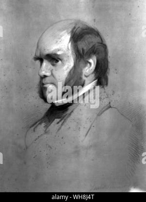 Charles Darwin en 1853. Dessin à la craie par Samuel Lawrence (1817-1884). De Darwin et de l'atterrisseur Beagle par Alan Moorhead, page 246.. Charles Robert Darwin (1809 -1896) était un naturaliste britannique qui atteint la renommée comme l'auteur de la théorie de l'évolution par sélection naturelle. Darwin, voyage sur le Beagle lui prééminence en tant que géologue et la renommée comme auteur populaire. Ses observations biologiques l'a amené à étudier la transmutation des espèces et de développer sa théorie de la sélection naturelle en 1838. Son livre de 1859, l'origine des espèces au moyen de la sélection naturelle, ou la Banque D'Images