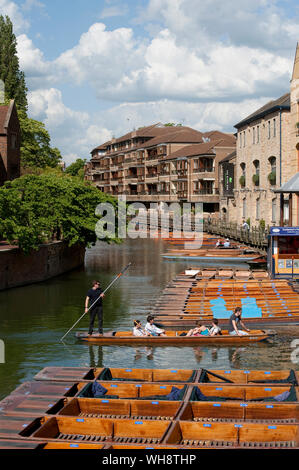 Plates en bois sur la rivière Cam à Scudamore & compagnie donnante du, Cambridge, Angleterre. Banque D'Images