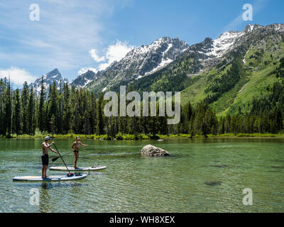 Stand Up Paddle boarders sur String Lake, parc national de Grand Teton, Wyoming, États-Unis d'Amérique, Amérique du Nord Banque D'Images