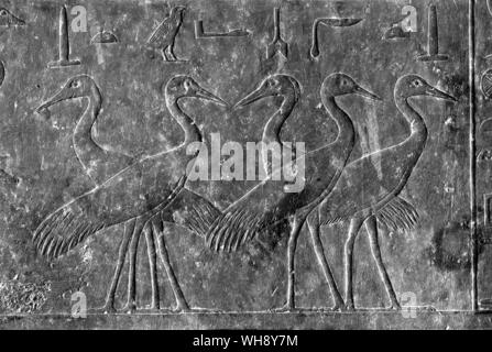 Soulagement de calcaire de la grue tombe mastaba de Manufer, Saqqara. Ancien Empire, c.2300 (C.-B.) Banque D'Images