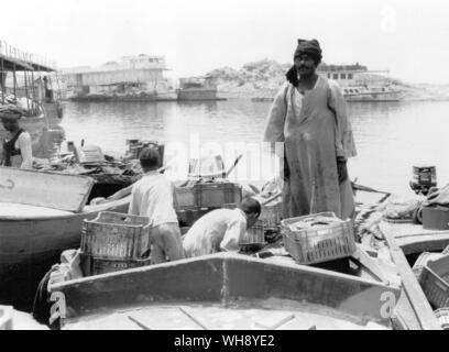 La vente du poisson d'un bateau. L'Égypte. Banque D'Images