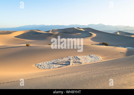 Télévision Mesquite sand dunes in Death Valley National Park, California, États-Unis d'Amérique, Amérique du Nord Banque D'Images