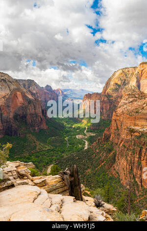 Vue vers le bas de Angels Landing Zion Canyon, Zion National Park, Utah, États-Unis d'Amérique, Amérique du Nord Banque D'Images