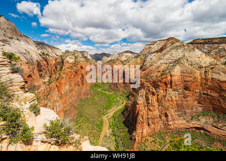 Vue vers le bas de Angels Landing Zion Canyon, Zion National Park, Utah, États-Unis d'Amérique, Amérique du Nord Banque D'Images