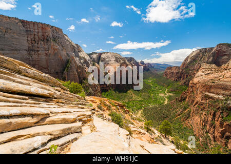 Vue vers le bas de Angels Landing Zion Canyon, Zion National Park, Utah, États-Unis d'Amérique, Amérique du Nord Banque D'Images