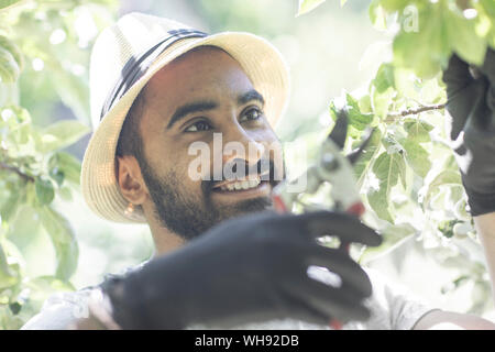 Portrait de jeune homme barbu de brindilles d'élagage arbre Banque D'Images