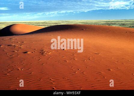 Les grandes dunes de sable rouge du désert de Simpson Banque D'Images