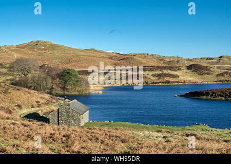 Gurnal Dubs : un petit lac, ou tarn, près de Stavely, dans le Lake District. Banque D'Images