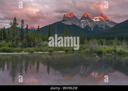 Coucher du soleil et sur les sommets des arbres morts et trois Sœurs, Canmore, Alberta, Canadian Rockies, Canada, Amérique du Nord Banque D'Images